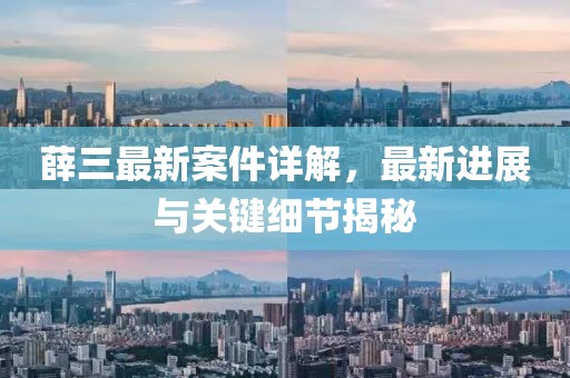 薛三最新案件详解，最新进展与关键细节揭秘