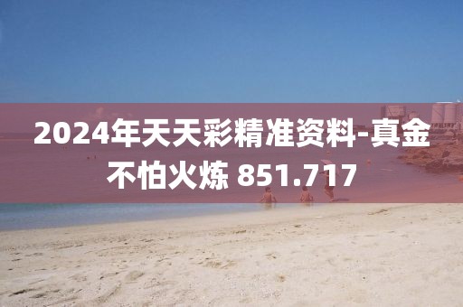 2024年天天彩精准资料-真金不怕火炼 851.717