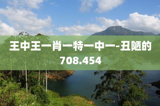王中王一肖一特一中一-丑陋的708.454