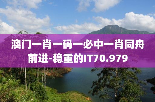澳门一肖一码一必中一肖同舟前进-稳重的IT70.979
