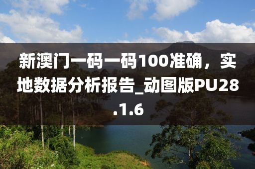 新澳门一码一码100准确，实地数据分析报告_动图版PU28.1.6