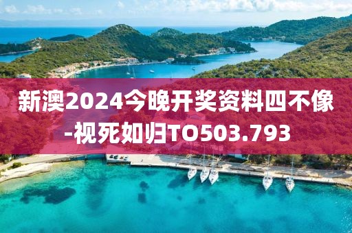 新澳2024今晚开奖资料四不像-视死如归TO503.793