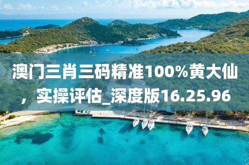 澳门三肖三码精准100%黄大仙，实操评估_深度版16.25.96