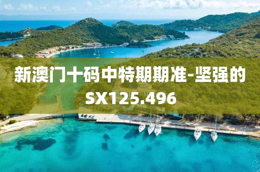 新澳门十码中特期期准-坚强的SX125.496