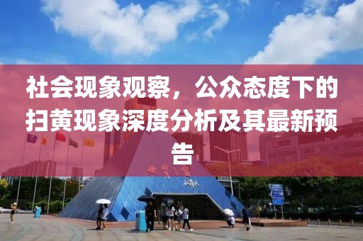 社会现象观察，公众态度下的扫黄现象深度分析及其最新预告