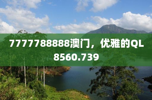 7777788888澳门，优雅的QL8560.739
