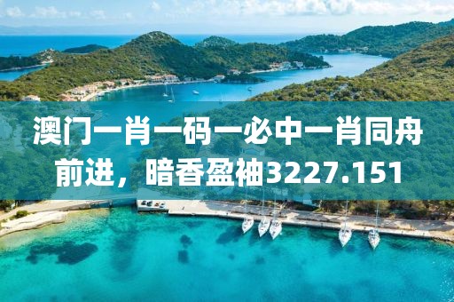 澳门一肖一码一必中一肖同舟前进，暗香盈袖3227.151