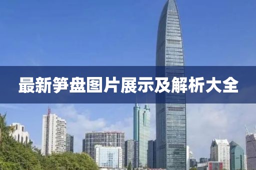 最新笋盘图片展示及解析大全