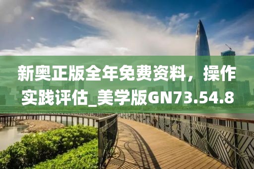 新奥正版全年免费资料，操作实践评估_美学版GN73.54.8