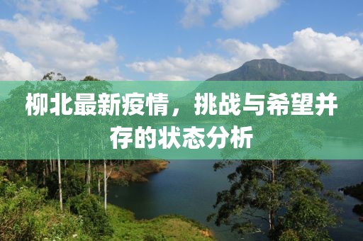 柳北最新疫情，挑战与希望并存的状态分析