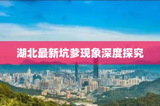 湖北最新坑爹现象深度探究