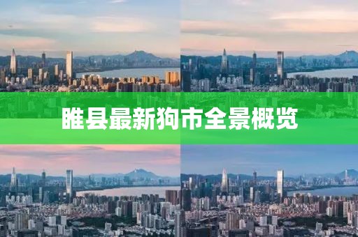 睢县最新狗市全景概览