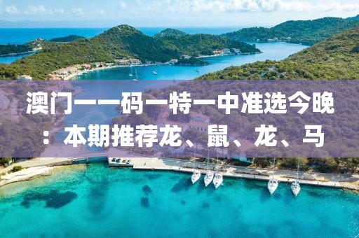 澳门一一码一特一中准选今晚：本期推荐龙、鼠、龙、马