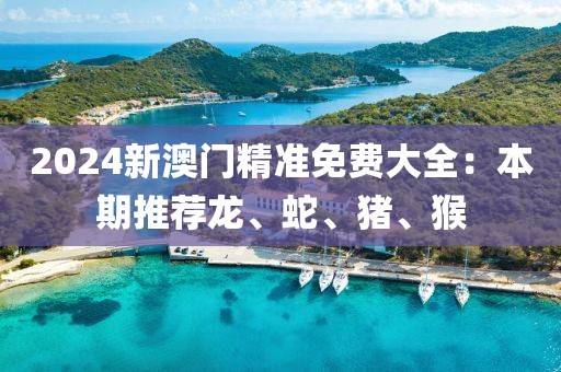 2024新澳门精准免费大全：本期推荐龙、蛇、猪、猴