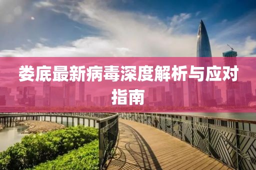 娄底最新病毒深度解析与应对指南