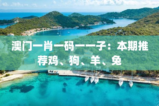 澳门一肖一码一一子：本期推荐鸡、狗、羊、兔