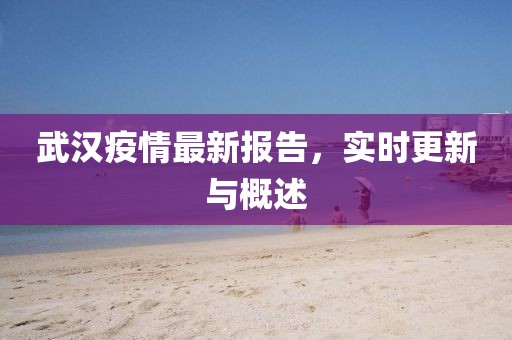 武汉疫情最新报告，实时更新与概述