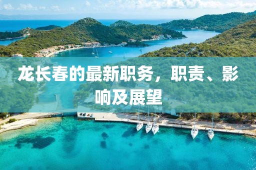 龙长春的最新职务，职责、影响及展望
