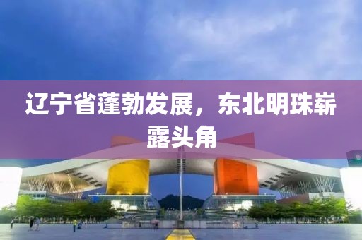 辽宁省蓬勃发展，东北明珠崭露头角