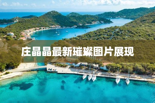 庄晶晶最新璀璨图片展现