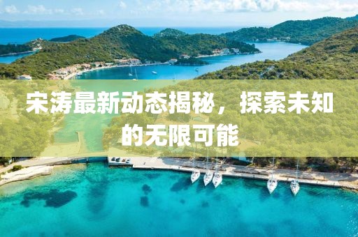 宋涛最新动态揭秘，探索未知的无限可能