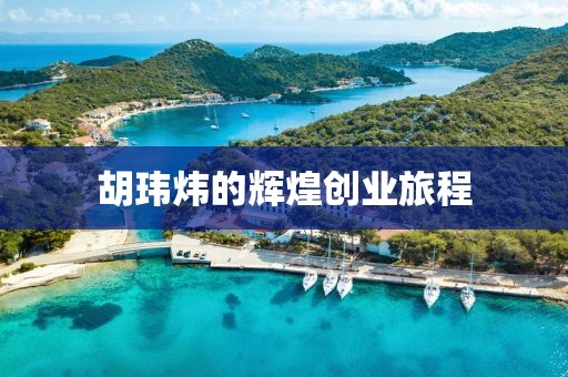 胡玮炜的辉煌创业旅程