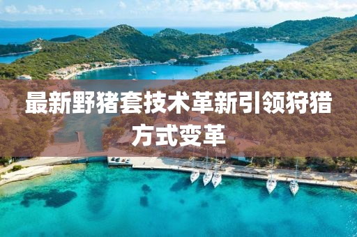 最新野猪套技术革新引领狩猎方式变革