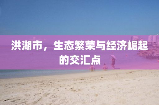 洪湖市，生态繁荣与经济崛起的交汇点