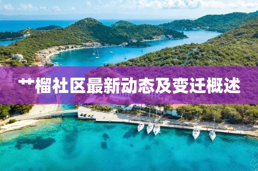 艹榴社区最新动态及变迁概述