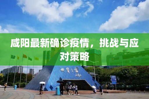 咸阳最新确诊疫情，挑战与应对策略