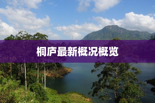 桐庐最新概况概览