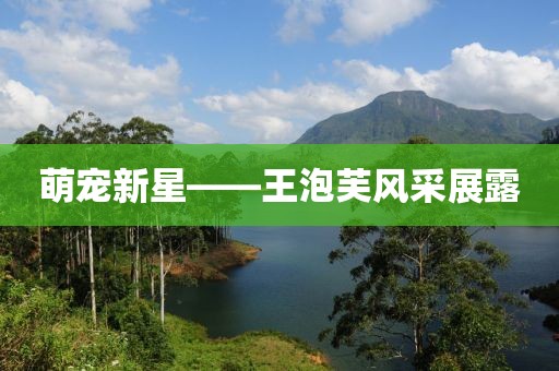 萌宠新星——王泡芙风采展露