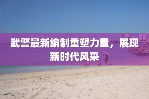 武警最新编制重塑力量，展现新时代风采
