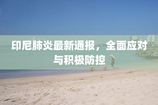 印尼肺炎最新通报，全面应对与积极防控
