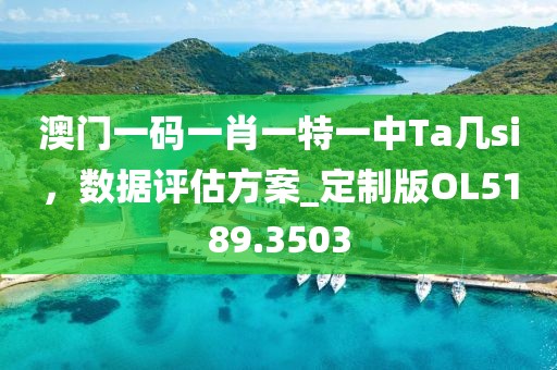 澳门一码一肖一特一中Ta几si，数据评估方案_定制版OL5189.3503