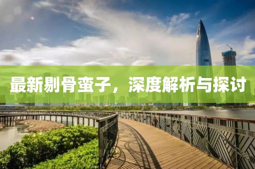 最新剔骨蛮子，深度解析与探讨