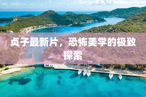 贞子最新片，恐怖美学的极致探索