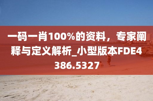 一码一肖100%的资料，专家阐释与定义解析_小型版本FDE4386.5327