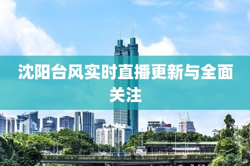 沈阳台风实时直播更新与全面关注