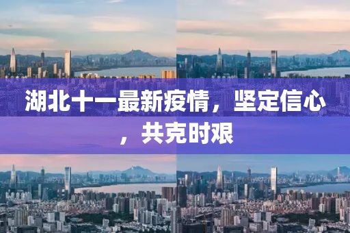 湖北十一最新疫情，坚定信心，共克时艰