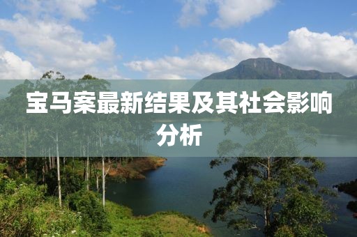 宝马案最新结果及其社会影响分析