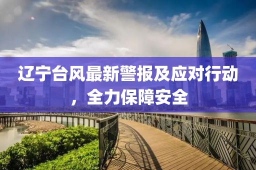 辽宁台风最新警报及应对行动，全力保障安全