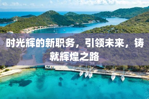 时光辉的新职务，引领未来，铸就辉煌之路