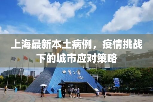上海最新本土病例，疫情挑战下的城市应对策略