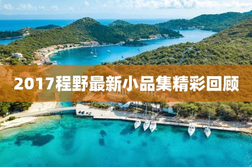 2017程野最新小品集精彩回顾