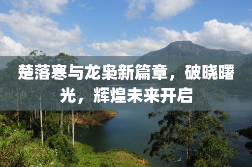 楚落寒与龙枭新篇章，破晓曙光，辉煌未来开启
