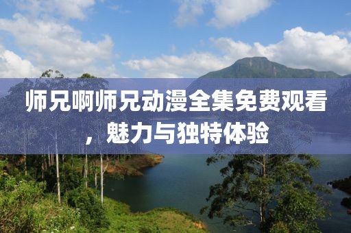师兄啊师兄动漫全集免费观看，魅力与独特体验