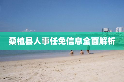 桑植县人事任免信息全面解析