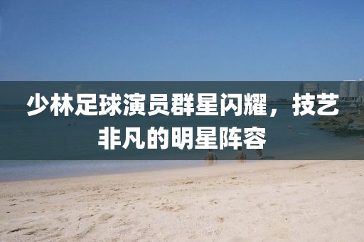 少林足球演员群星闪耀，技艺非凡的明星阵容