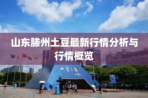 山东滕州土豆最新行情分析与行情概览